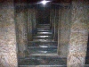 DSC00055.jpg