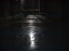DSC00064.jpg
