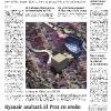 Portada El País