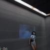 20097263914377