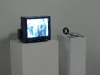 P1010208.JPG