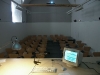 b5.jpg